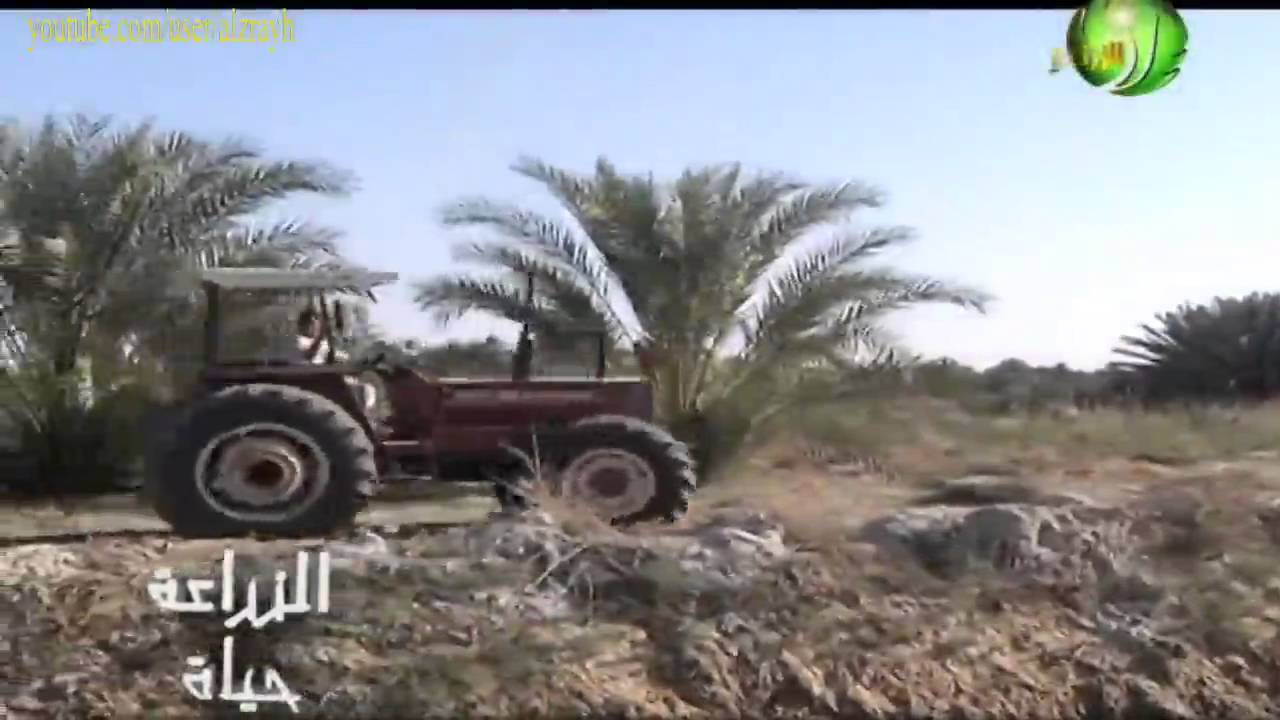 الاستثمار فى الزراعة فى واحة سيوة الجزء الثاني طرق الزراعة وانواع المحاصيل