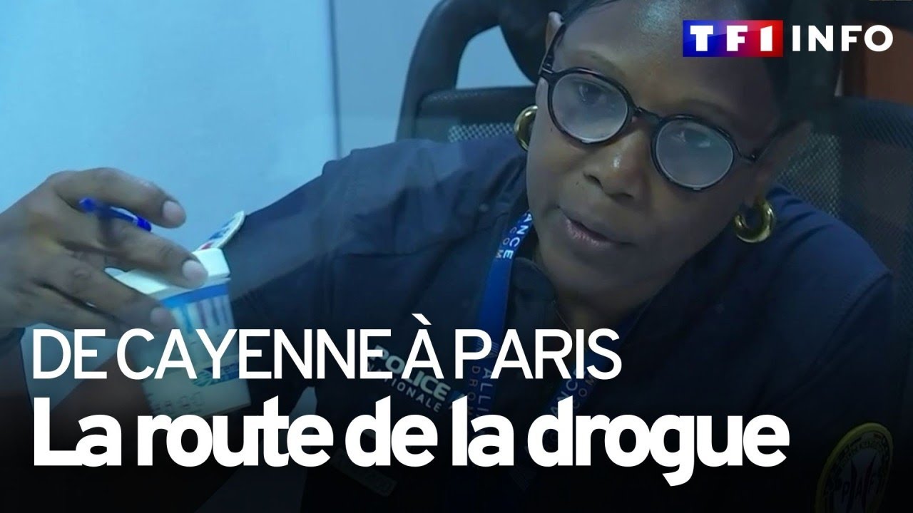 Cayenne - Paris : le vol des mules chargées de cocaïne
