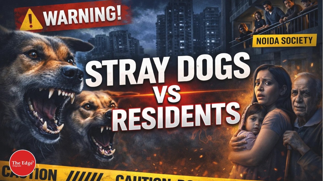 Stray Dog Terror in Noida:Local Outrage Intensifies | Ground Report