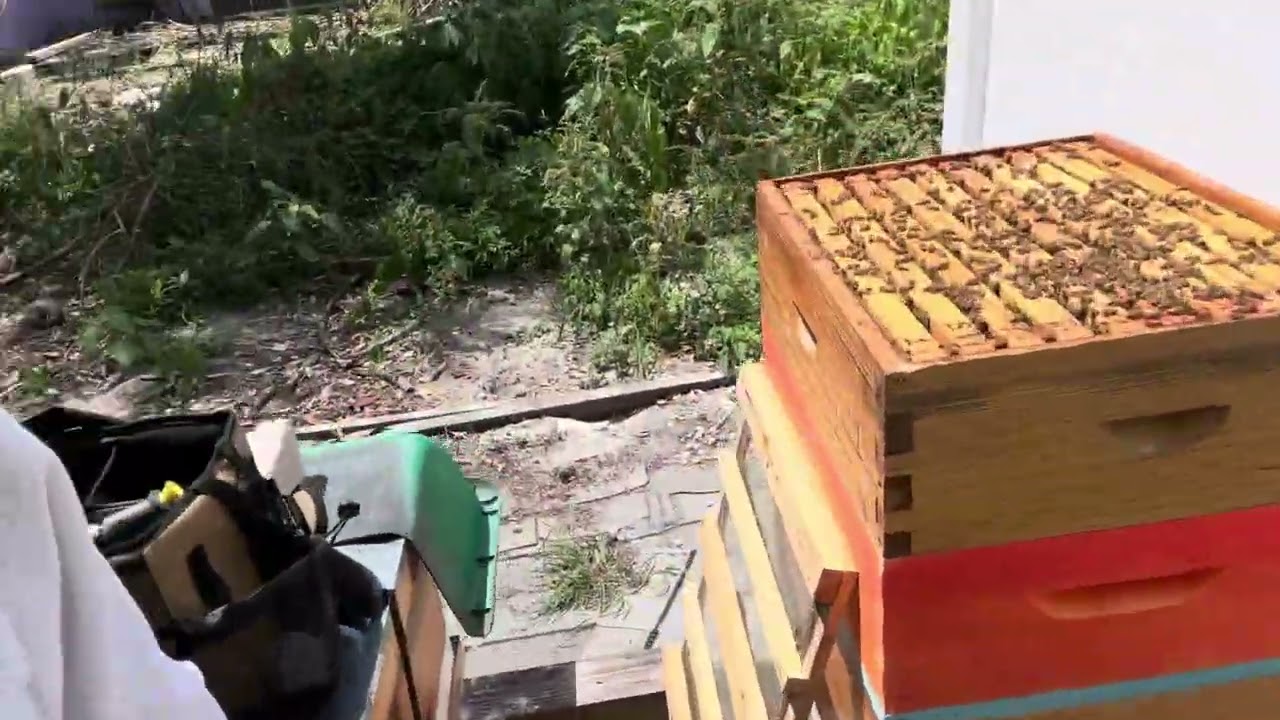Honey Time Yet?