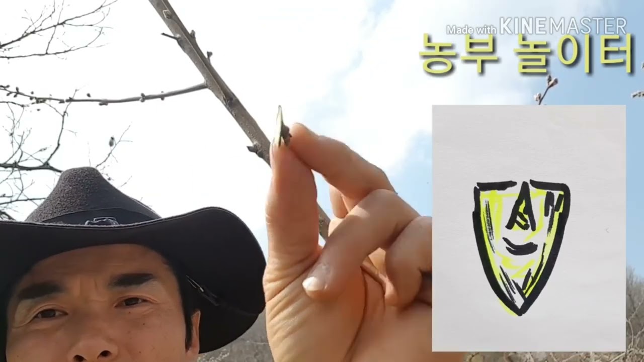 눈접 붙이기가 제일 쉽고 편해요.