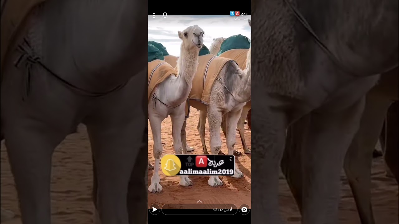 منقية الامير سلطان بن محمد