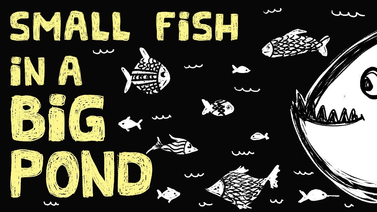 The Small-Fish Big-Pond College Problem and a Few Helpful Tips