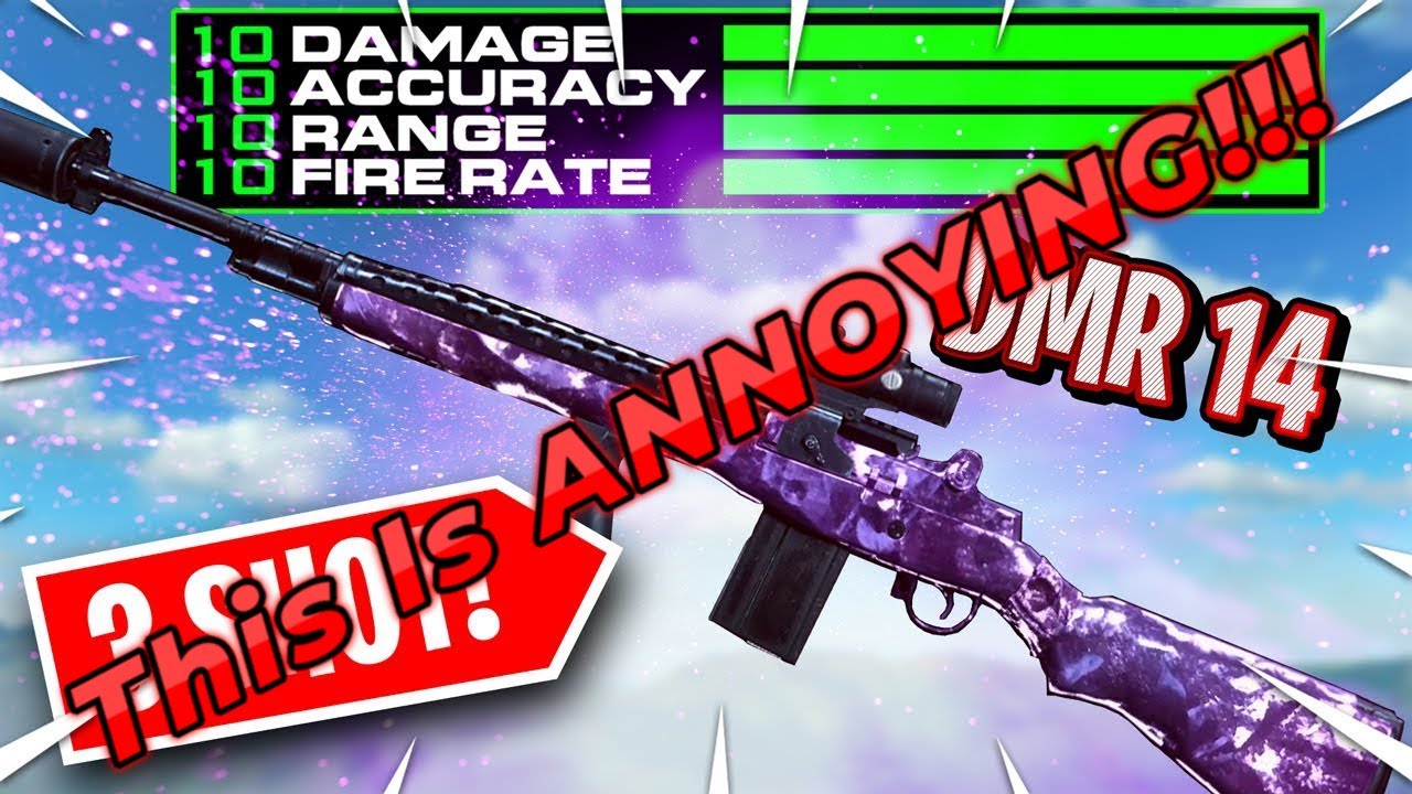 The DMR Is Annoying! (Stream Highlight) | Call of Duty Warzone Gameplay