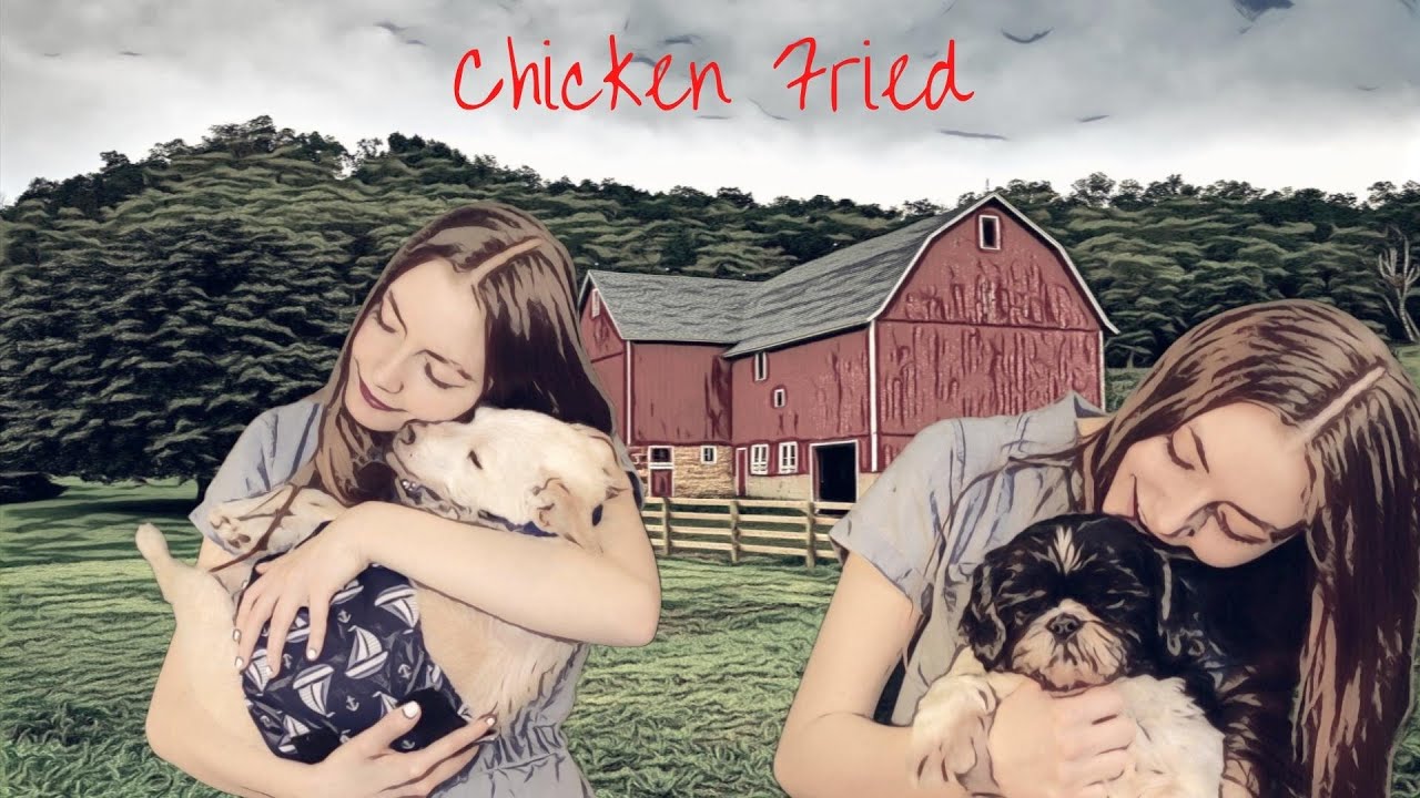 Chicken Fried-Zac Brown Band COVER