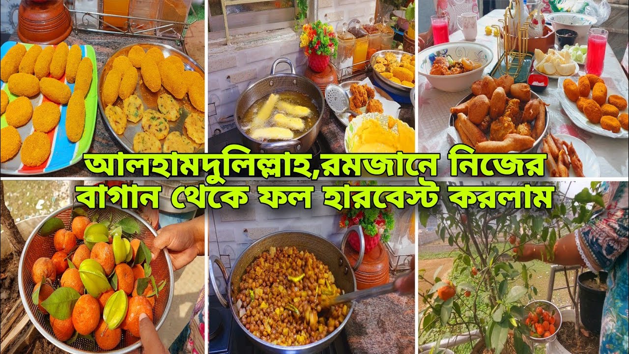 🌙২০২৬ এর প্রথম রমজানের ব্লগ || কেমন ছিল প্রথম রমজানের আয়োজন || ছাদ বাগান থেকে কি কি হারবেস্ট করলাম