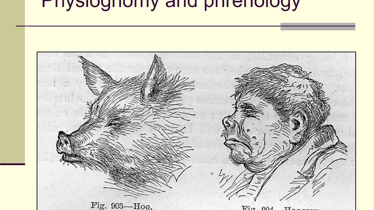 Lecture 2a: origins of testing