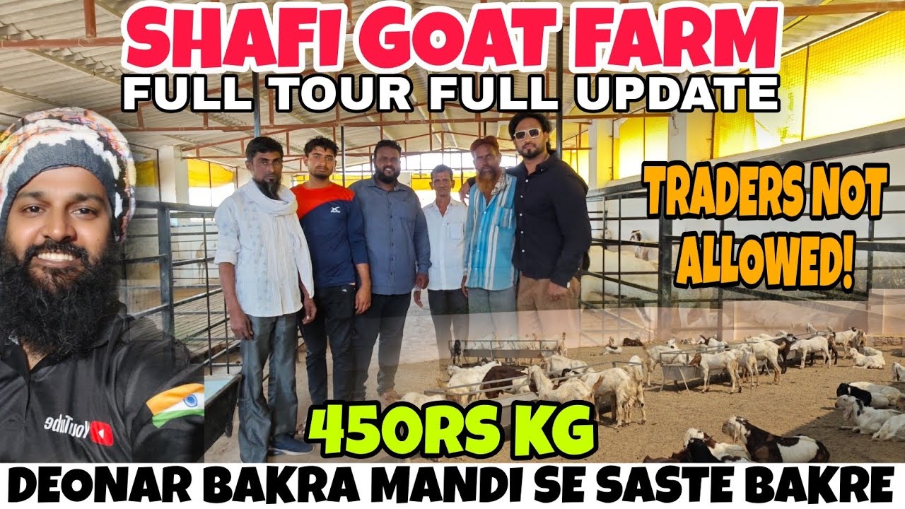 SABSE SASTA BUDGET WALA BAKRA  450KG AT SHAFI GOAT FARM 🐐 NERAL TRADERS STRICTLY NOT ALLOWED