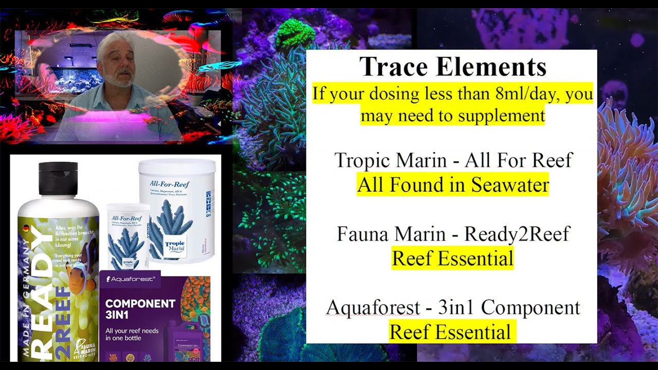 Ready2Reef, All For Reef, Component 3n1 ? #ready2reef #allforreef  #3in1component #all4reef