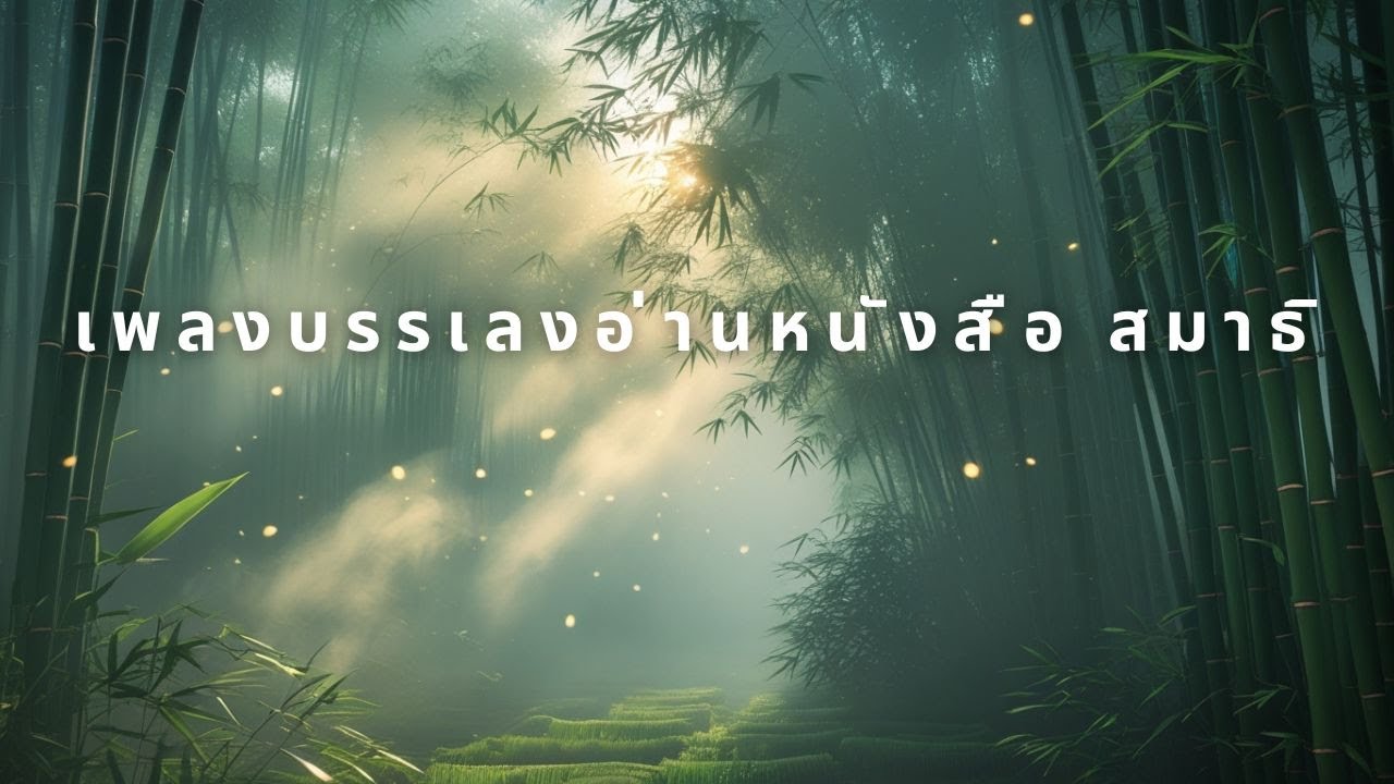 รวมเพลงบรรเลงฟังเพลิน 2026 | ดนตรีชิล ๆ สำหรับโฟกัส & ผ่อนคลาย
