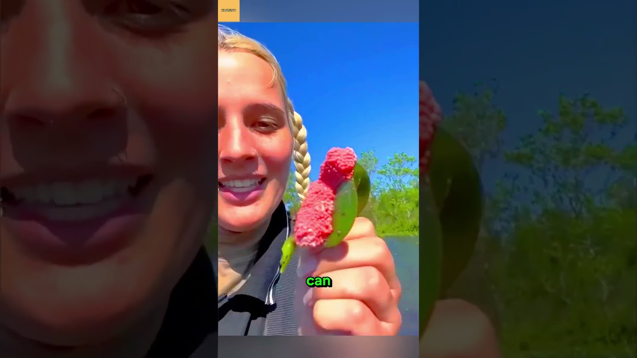 Why People Destroy These Pink Eggs Immediately 😳