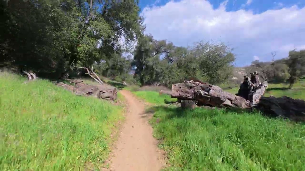 Bogart Trail to The Oak Ranch