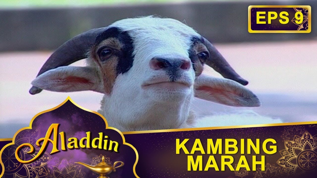 Kambing Ini Marah Gara Gara Lahab -  Aladdin Eps 9 Part 1