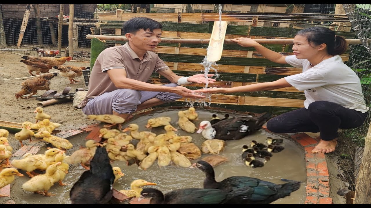 Wonderful bamboo products created by the hands of ly and nam it is a gift of nature