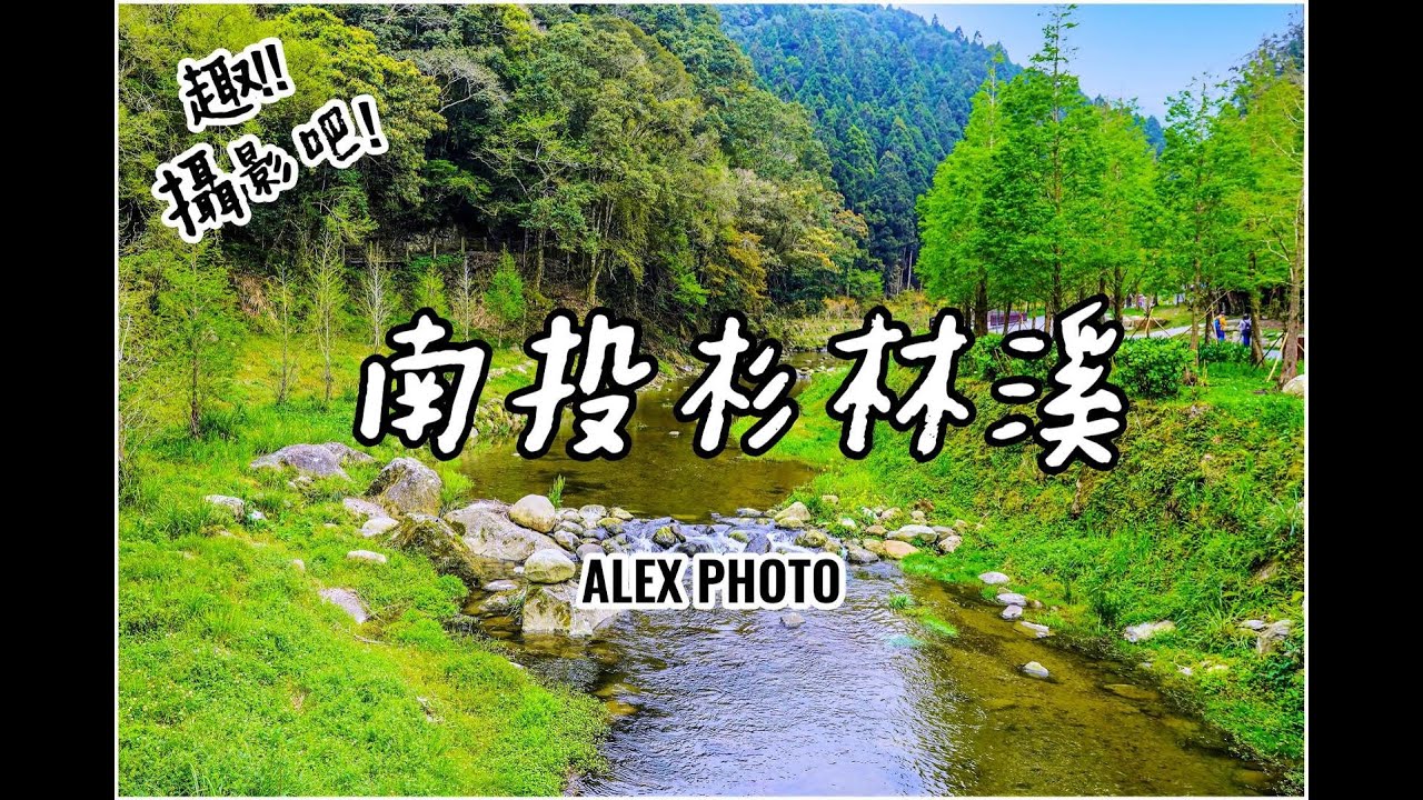 南投杉林溪