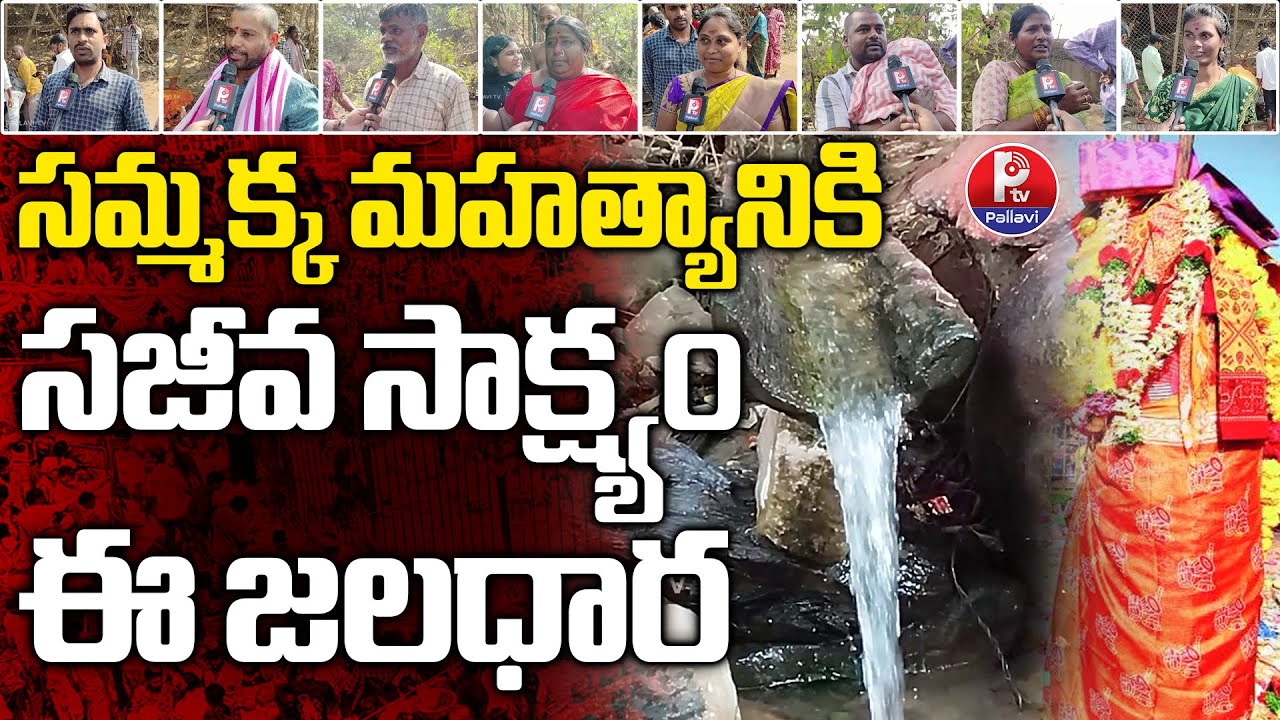 Chilakalagutta Water | The Birthplace Of Goddess Sammakka | Medaram Sammakka Sarakka Jatara | PTV