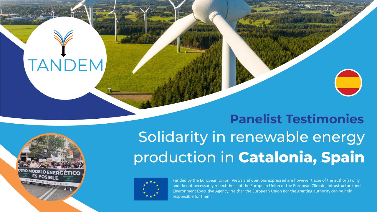 TANDEM Project - Panelist testimony from Pujalt