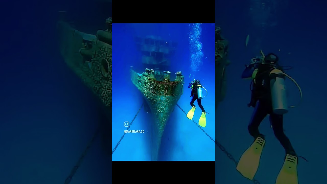 wreck diving. #youtubeshorts #marinewonders #marine #trendingshorts #scubadiving #wreckdiving