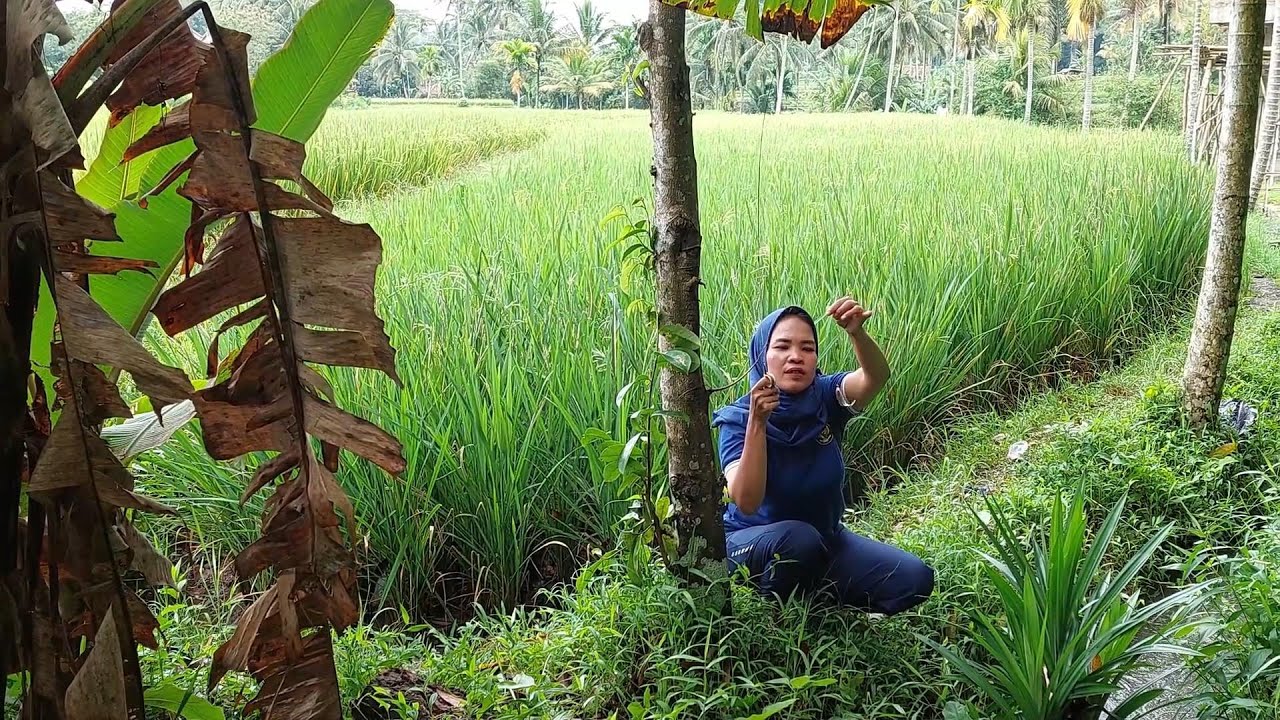 Mancing Ikan Di Sungai Pedesaan