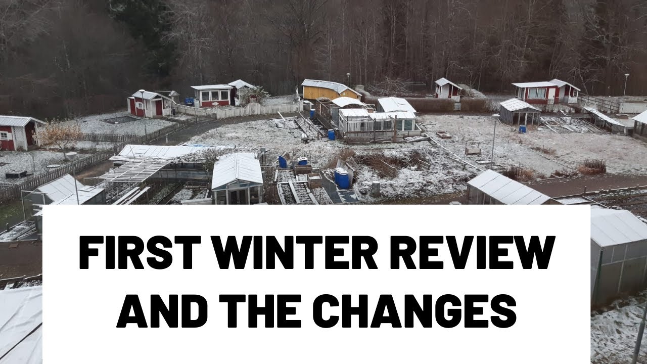 Early and First Winter Review