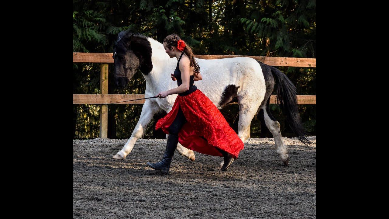 Horse Riding and Liberty Performance [Flamenco Inspired]