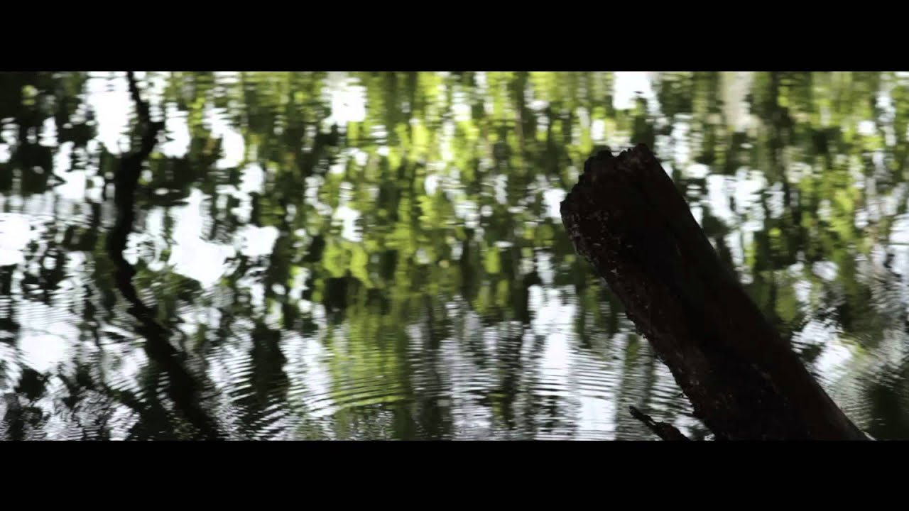 NONNA '할머니' (ITALIAN VERSION) - IL POSTINO