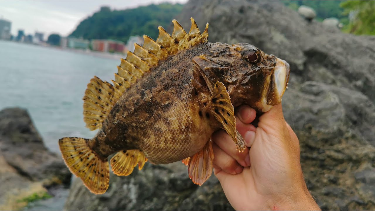 Rock Fishing 2025 🎣 ზღვაზე 2 დღიანი თევზაობა სპინინგით 🐟სტავრიდა 🐠 სკორპენა-ჩიქვი და ზღვის კარჩხანა.