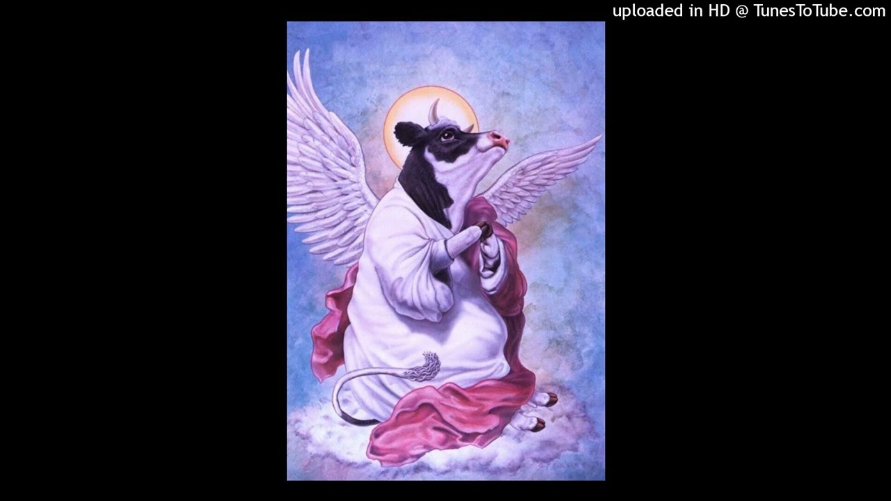 [FREE] Underground trap type beat - howl