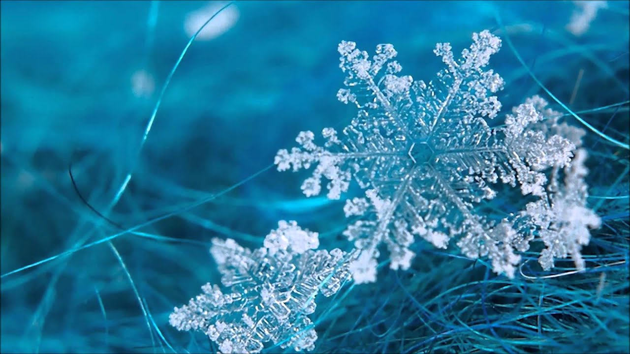 Lensko - Frost