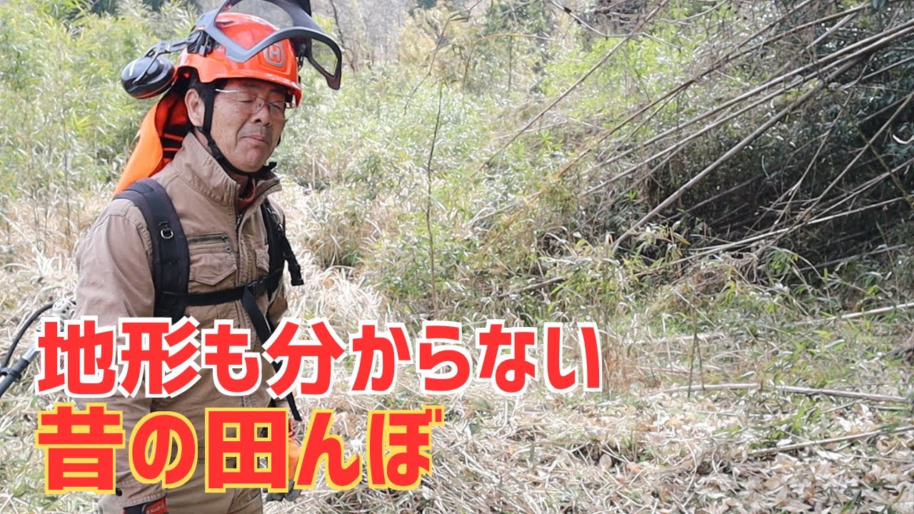 竹が倒れて地形も分からない耕作放棄地に突入する