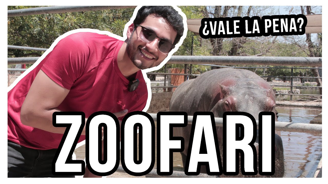 Visitando el ZOOFARI en Morelos ¿Realmente vale la pena ir? ¿Los animales viven bien?