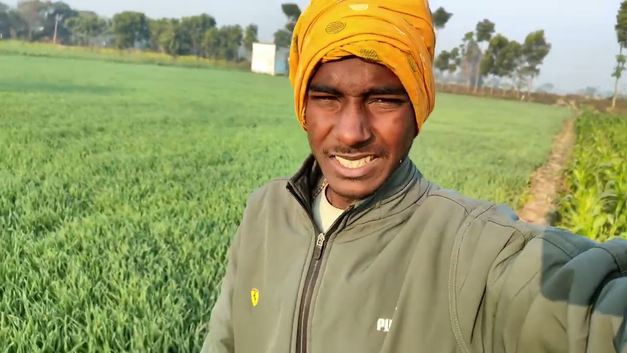 हेलो गाइस आज हम जा रहे हैं बैगन खेत और बैगन तोड़ने के लिए 🇮🇳🌿🌱🫑🥬🫛🥦🥒🍐🍆🍆🍆🍆🍆बिहार