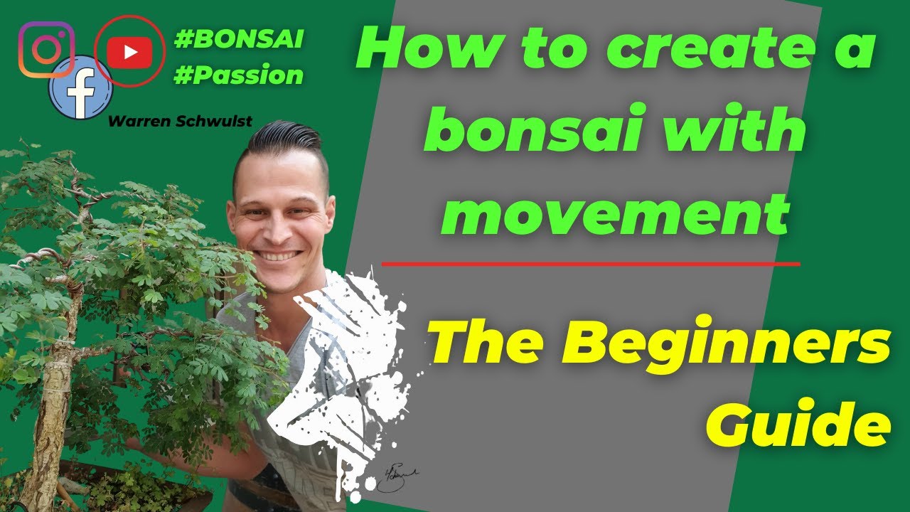 BEGINNERS GUIDE 2 BONSAI (How to Create a Bonsai with Movement) - Wiring a bonsai tree for Beginners