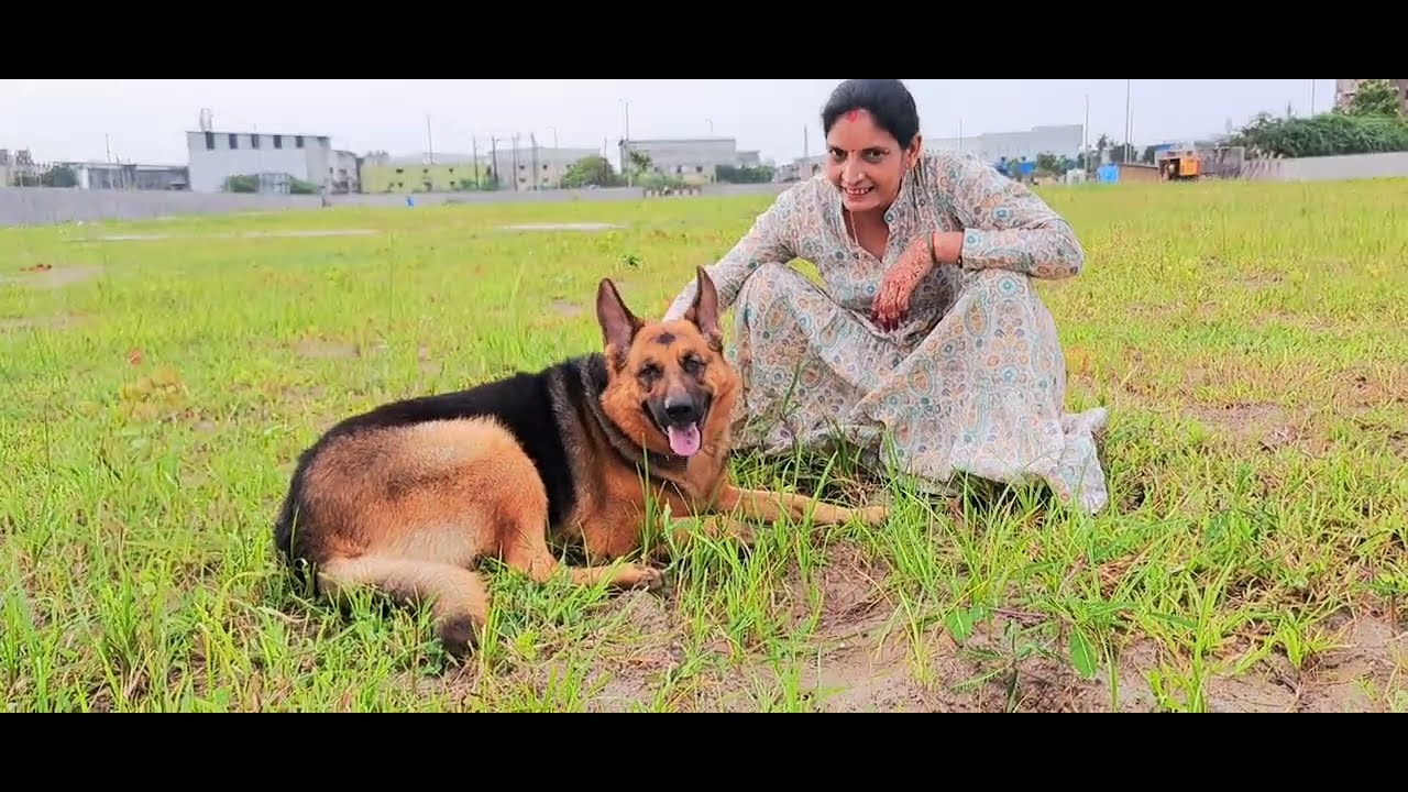 NatkhatPari🥰🥰🐶🐕#vlog #viralvideo #trending #subscribe #germanshepherd #india#natkhatpari  