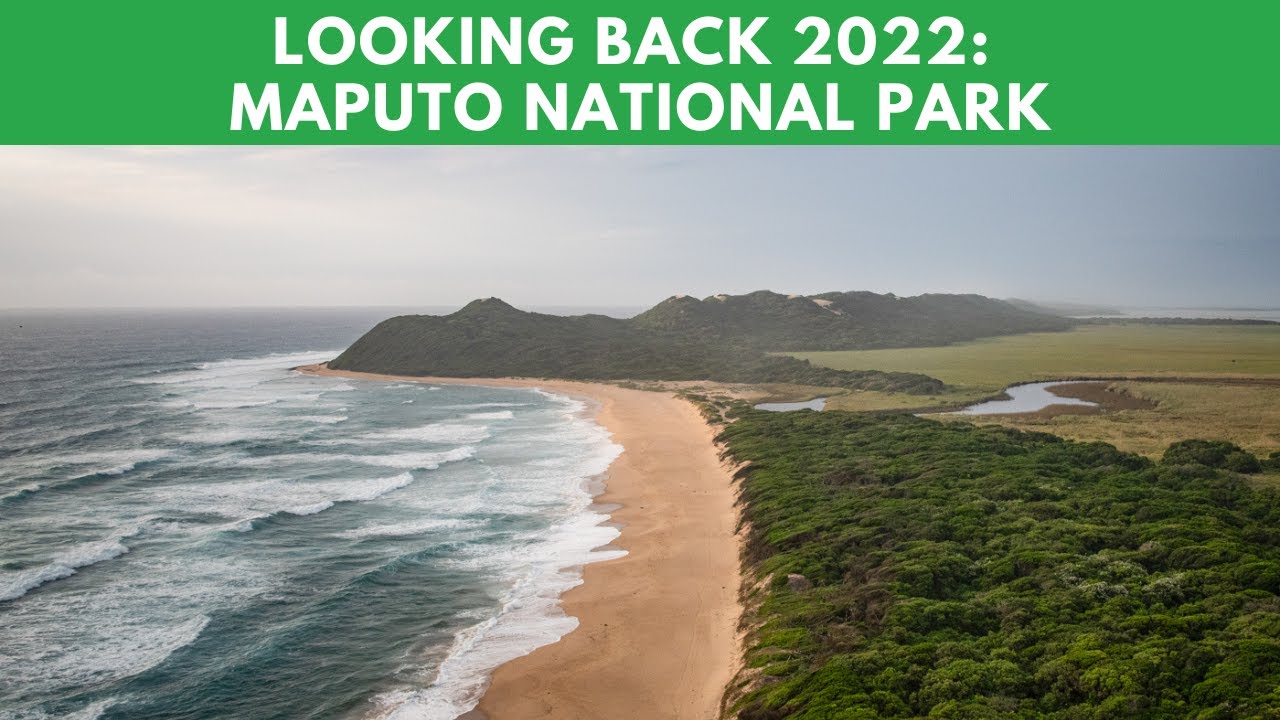 The Magnificence Of Maputo