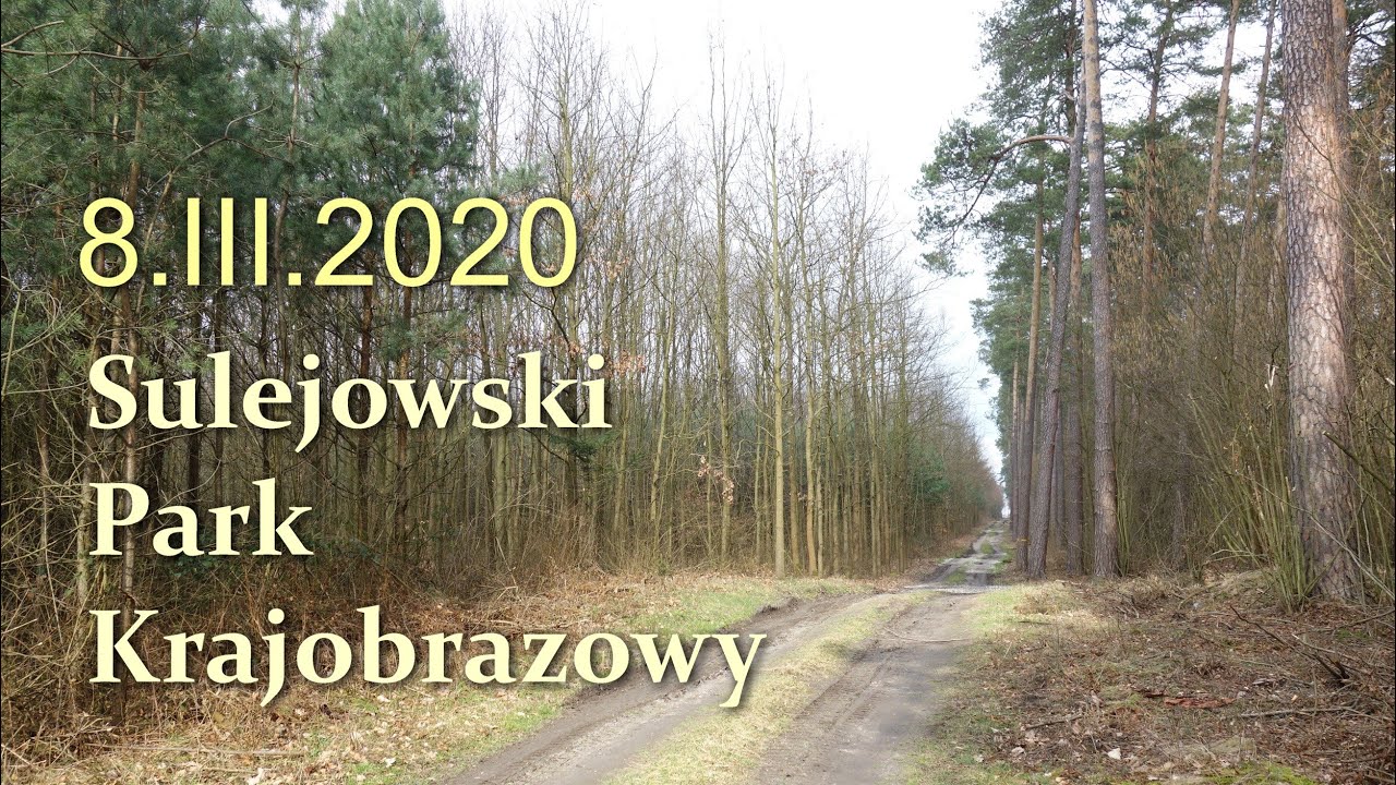 W poszukiwaniu PIESTRZENICY