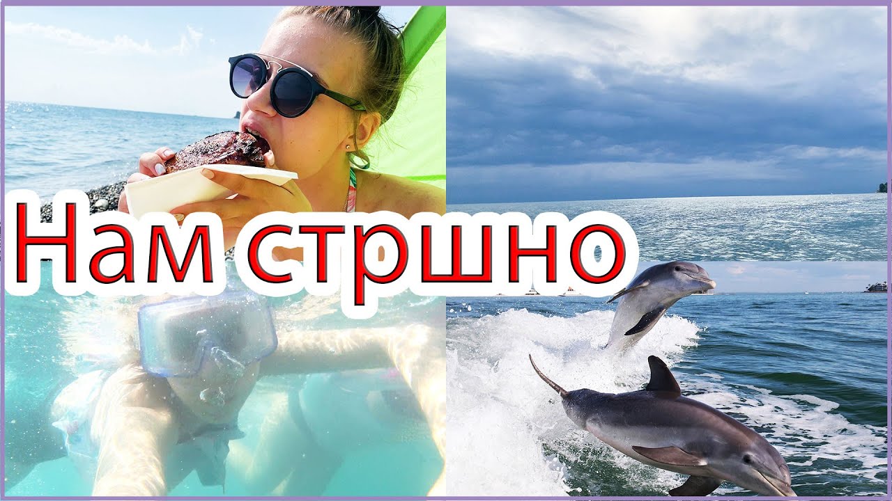 МОРСКОЙ ВЛОГ: ЧТО СЛУЧИЛОСЬ НА ПЛЯЖЕ 😨 ПЛАВАЮ С ДЕЛЬФИНОМ