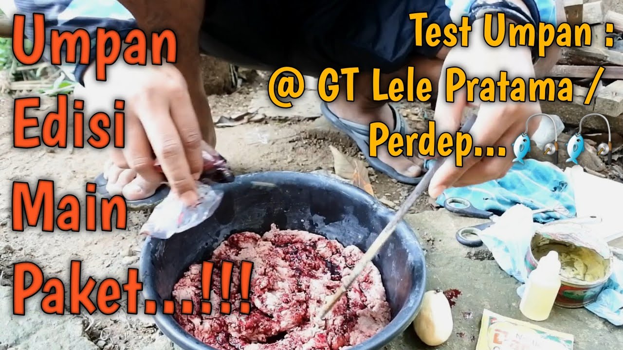 Galatama Lele Bait # Основной пакет Edition ... !!!