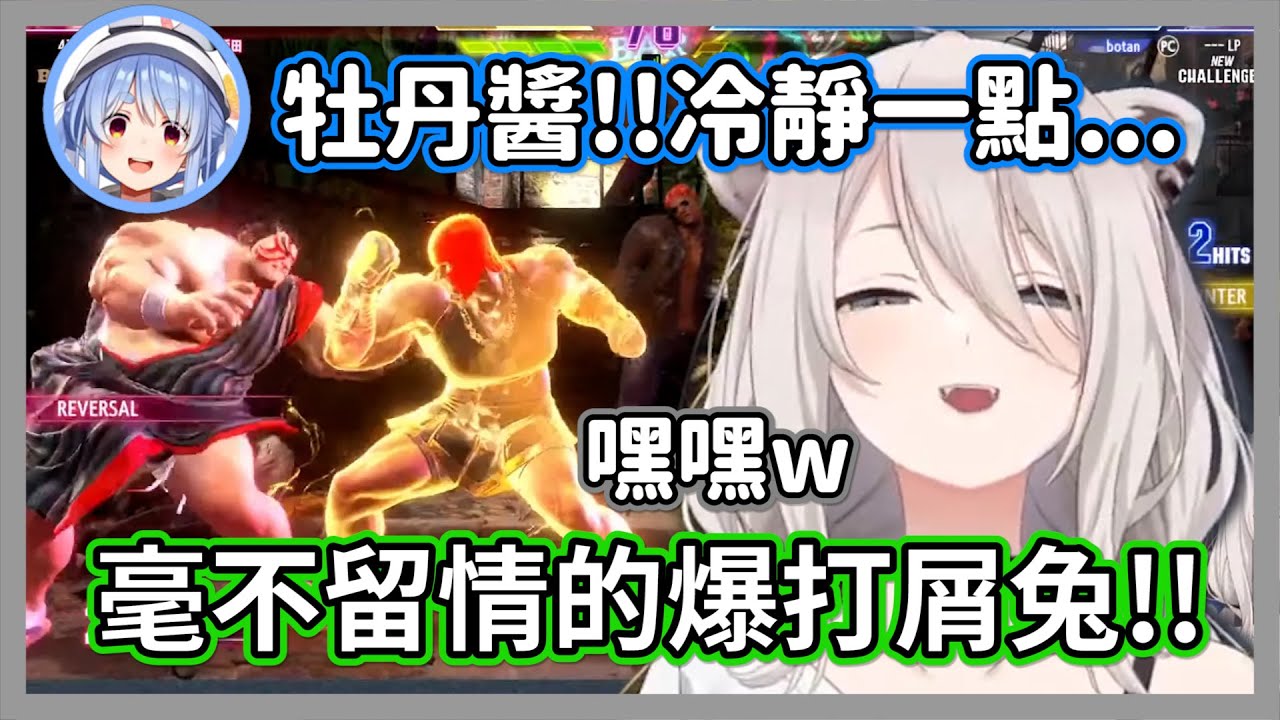 獅白白毫不留情爆打屑兔，逼得族長直接泯滅良心啟用本田頭槌反擊w【獅白牡丹/兔田佩克拉】【hololive精華】