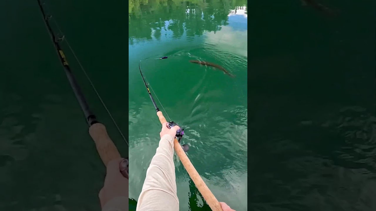 Clearest Lake in The World! #fishing #musky #figure8