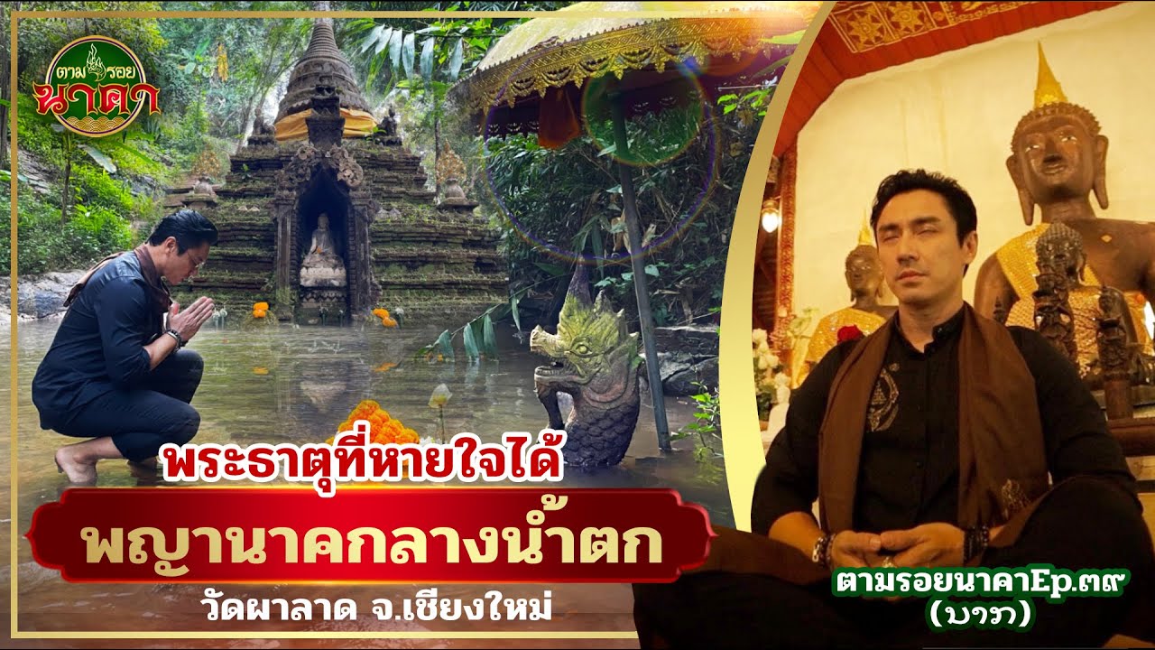 ตามรอยนาคาEp.39(ນາກ) : ปริศนาพญานาคกลางน้ำตกกับพระธาตุที่หายใจได้ ที่