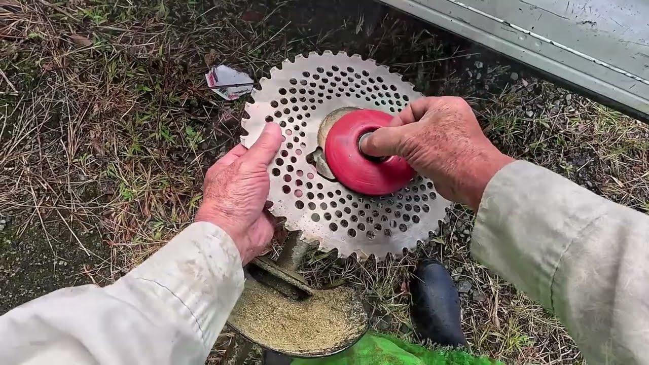 奄美　珍しいバナナとかナイロンコード草刈りの様子とか一週間の行動記録です。