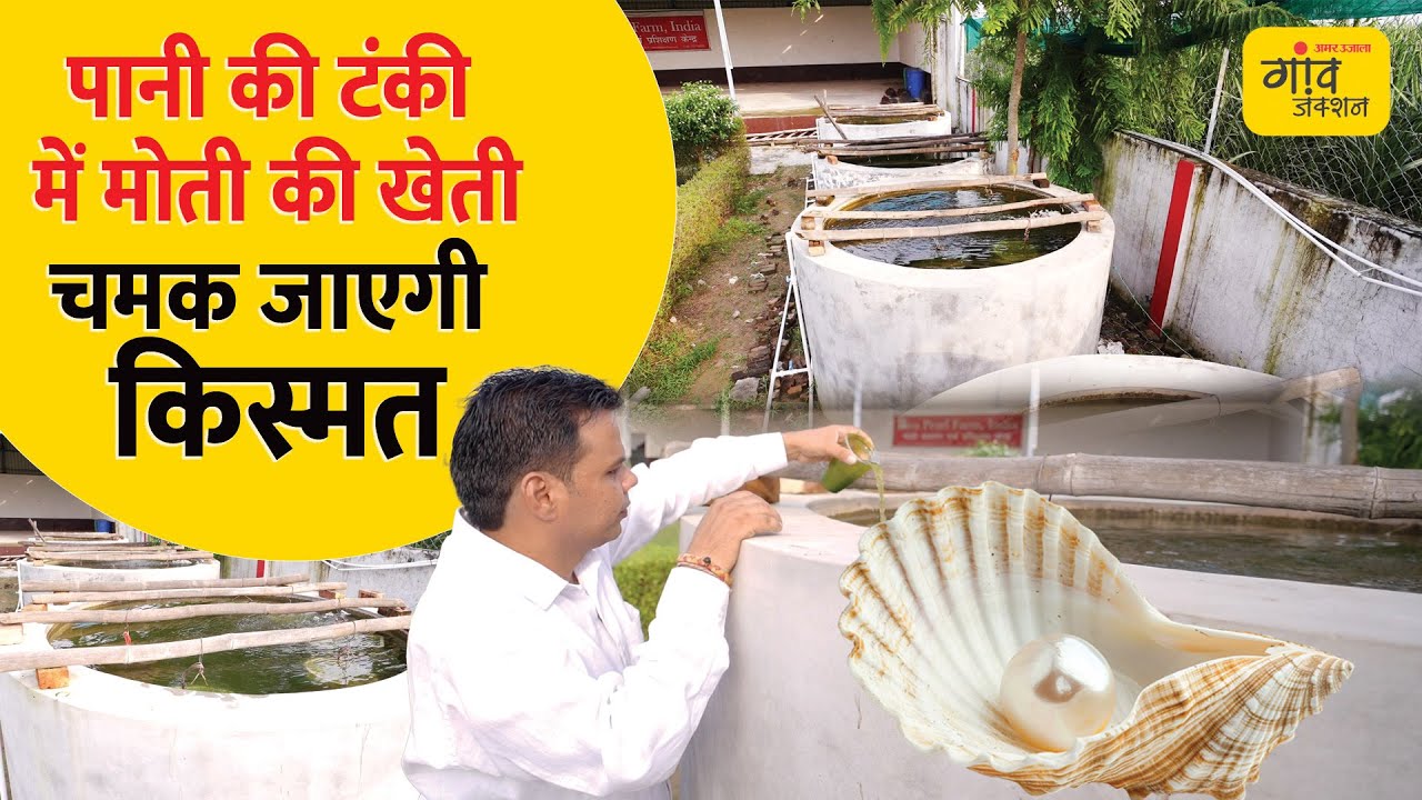 ऐसे करें मोती की खेती, कम जगह में होगी लाखों की कमाई | Gaon Junction LIVE