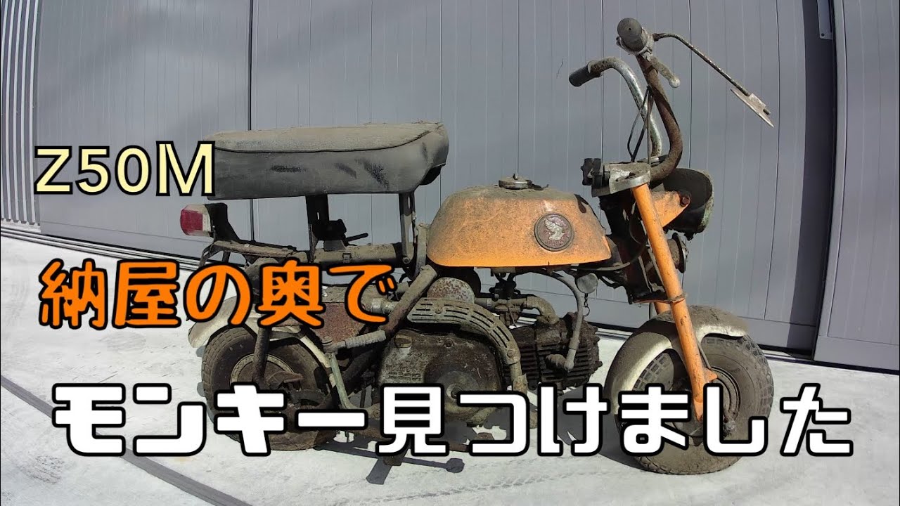 Honda Monkey Z50M  ホンダモンキー　m型モンキー見つけました