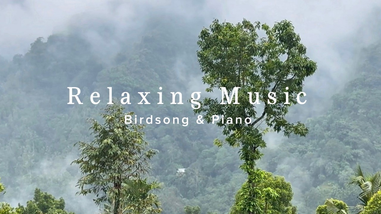 Relaxing Piano Music & Birdsong | Mountain View’s | Bali