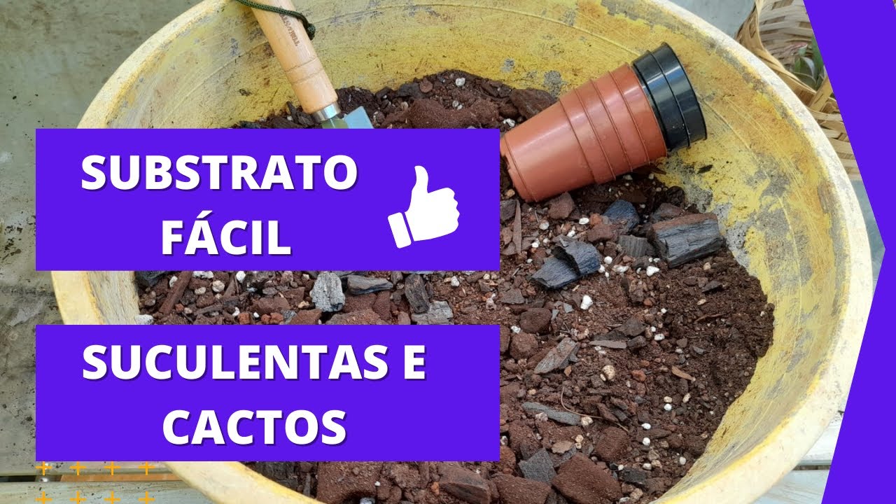 COMO PREPARAR SUBSTRATO PARA SUCULENTAS E CACTOS FÁCIL E SIMPLES!