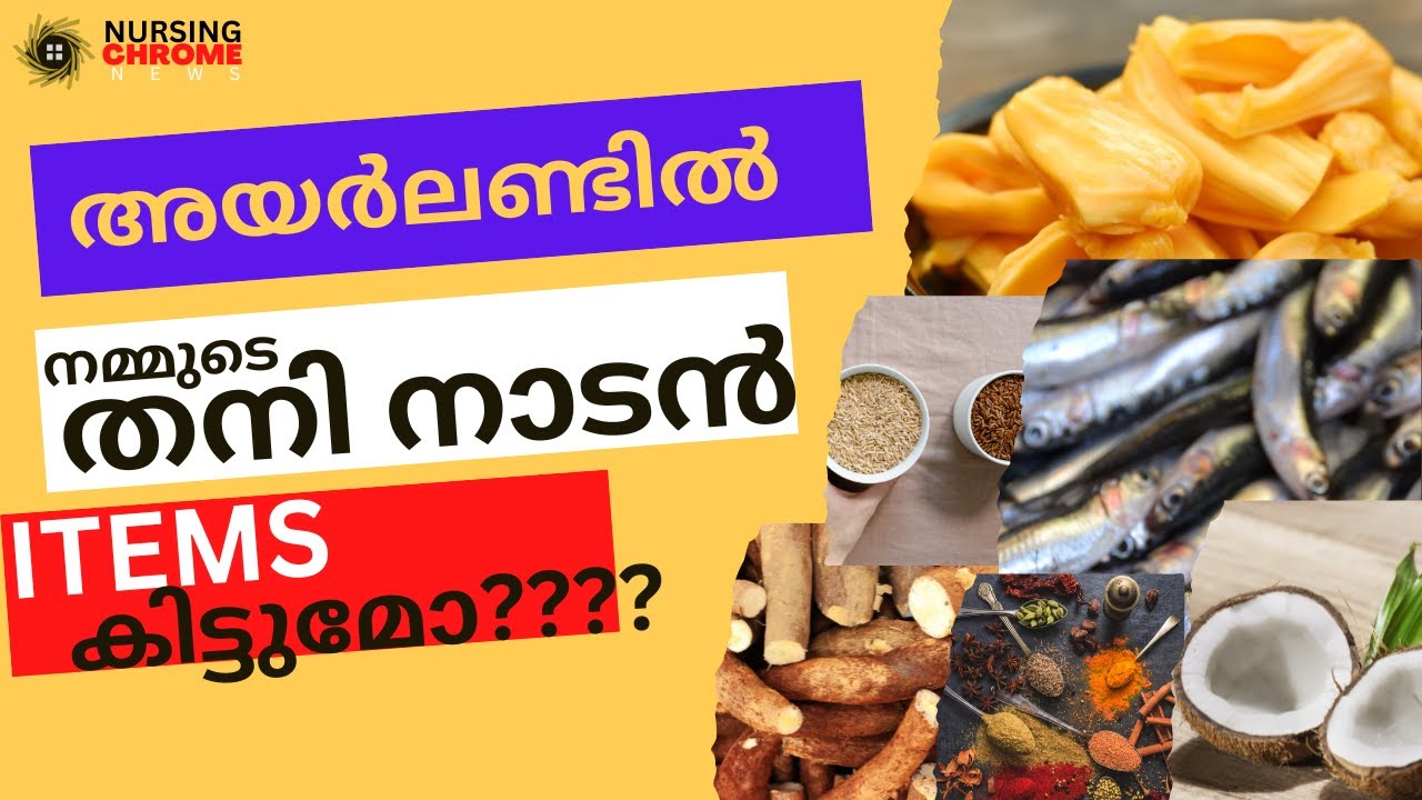 അയർലണ്ടിൽ നമ്മുടെ തനി നാടൻ Items കിട്ടുമോ??.  Basic  Items Price Comparison in Ireland.