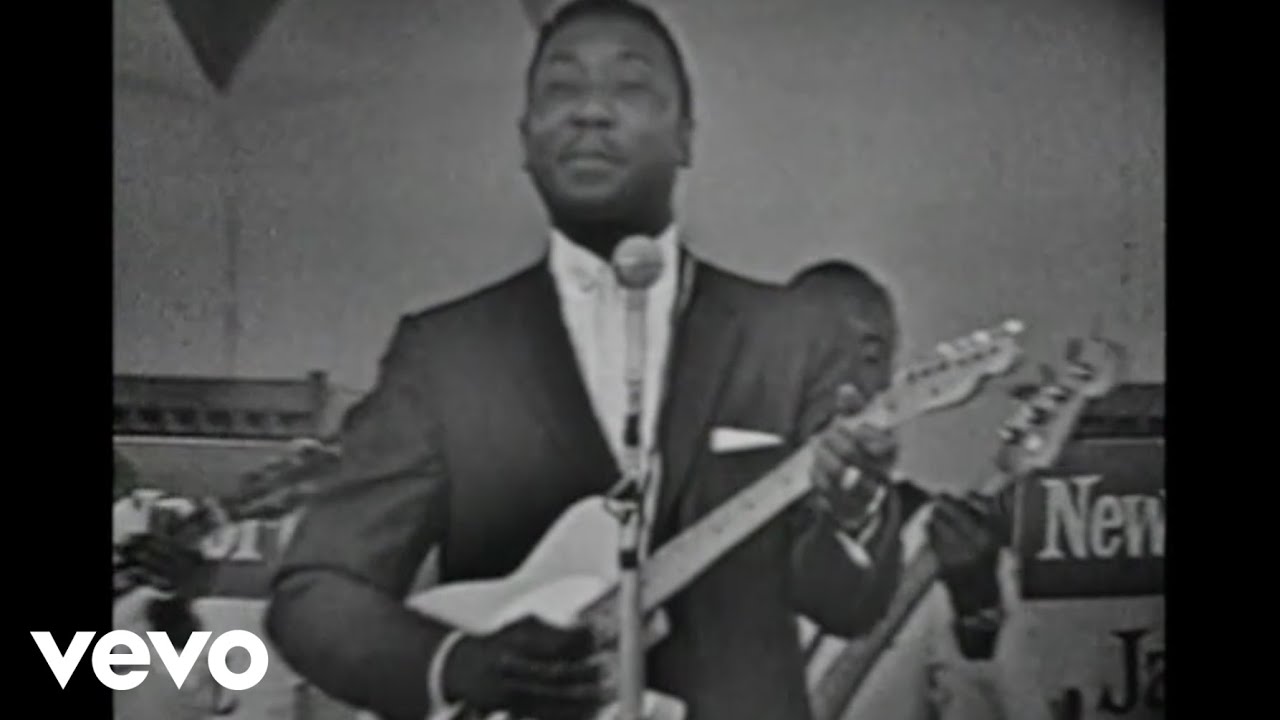 Muddy Waters - I'll Put A Tiger In Your Tank (Live)