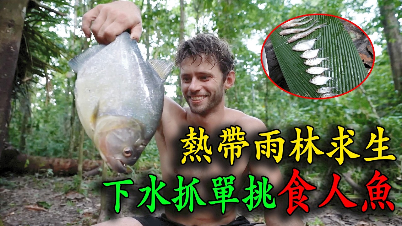 男人亚马逊丛林求生，自制鱼叉抓食人魚、烤虎鯰魚，壹頓晚餐吃掉6只大螃蟹，頓頓吃上大魚大肉自助餐！