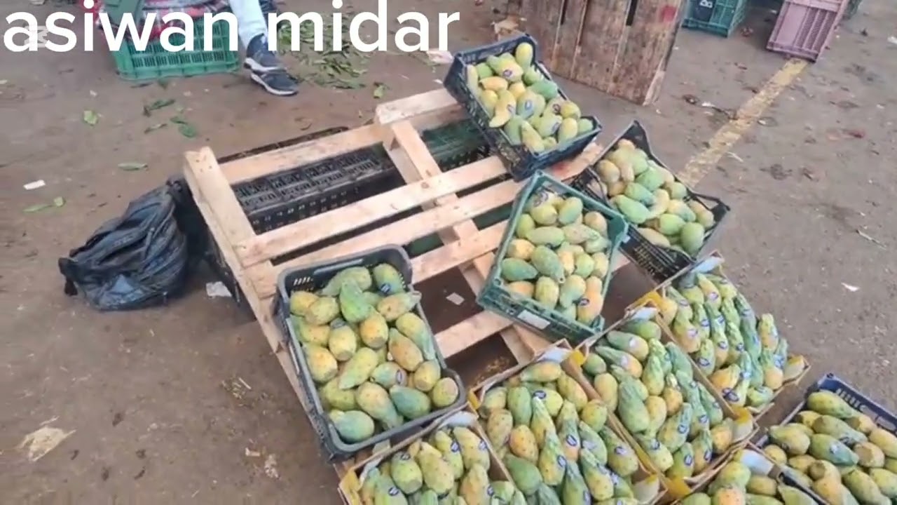 22 février 2026 مباشرة من سوق الخضر والفواكه الكرموص الهندي. سمعوا شحال داير غلا من كلشي